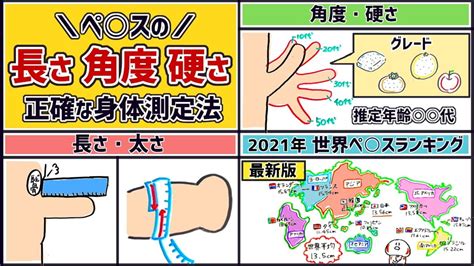 ペニスの平均は！？長さ･太さ･硬さの測定方法